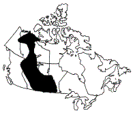 Interior Plains Regions Of Canada